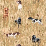 Country Pheasants