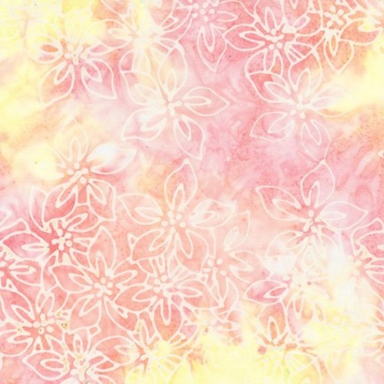 Kashmir By Jacqueline De Jonge