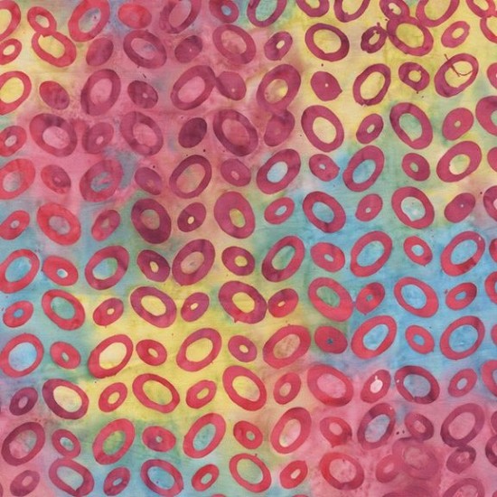 Kashmir By Jacqueline De Jonge