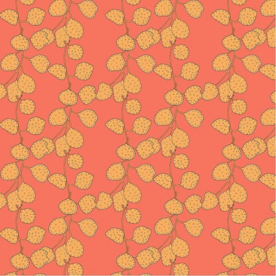 Sunshine By Sally Kelly