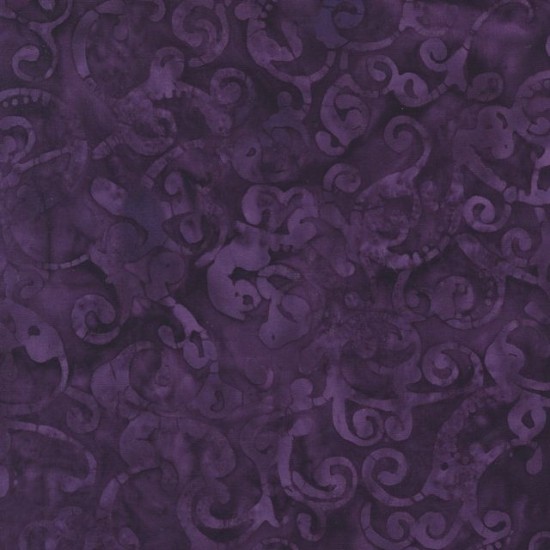 Blueberry By Jacqueline de Jonge