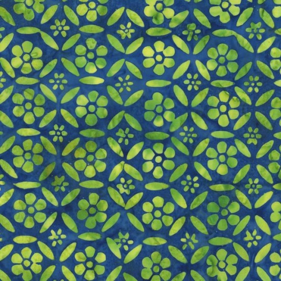 Blueberry By Jacqueline de Jonge