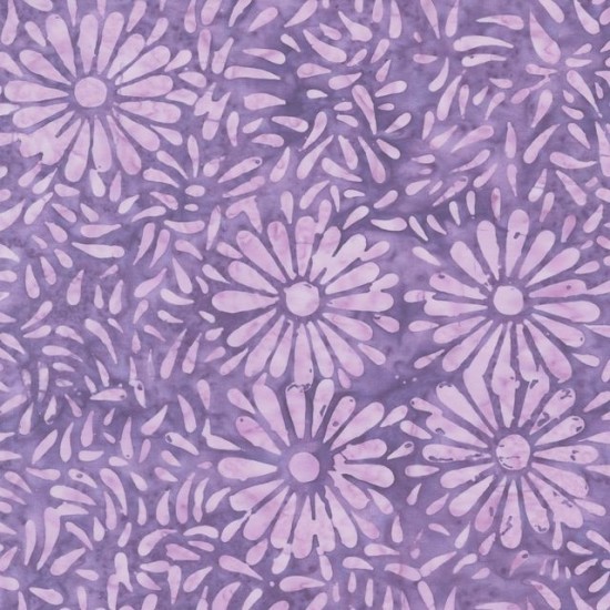 Daisy Petals by Jacqueline De Jonge