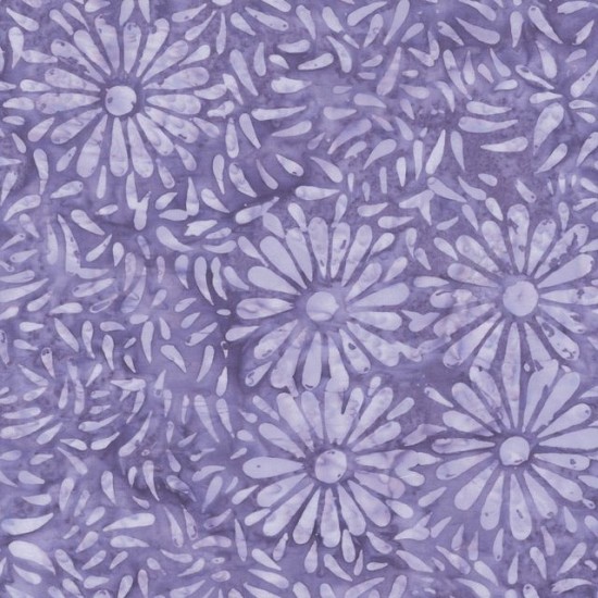 Daisy Petals by Jacqueline De Jonge