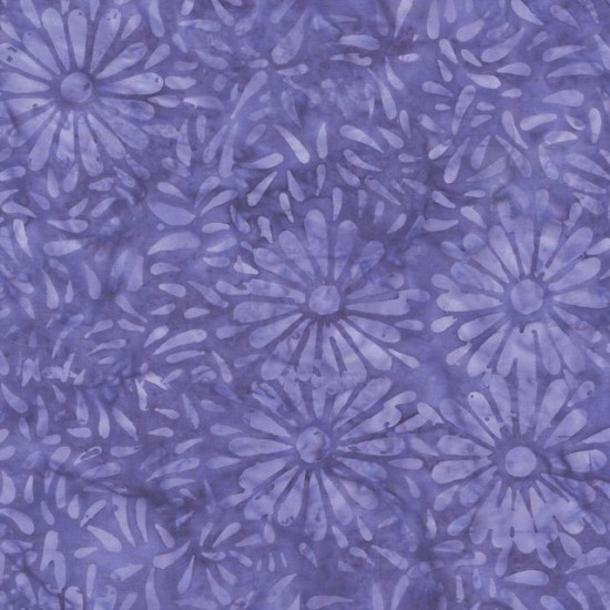 Daisy Petals by Jacqueline De Jonge