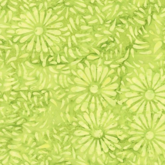 Daisy Petals by Jacqueline De Jonge