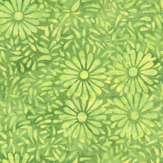 Daisy Petals by Jacqueline De Jonge