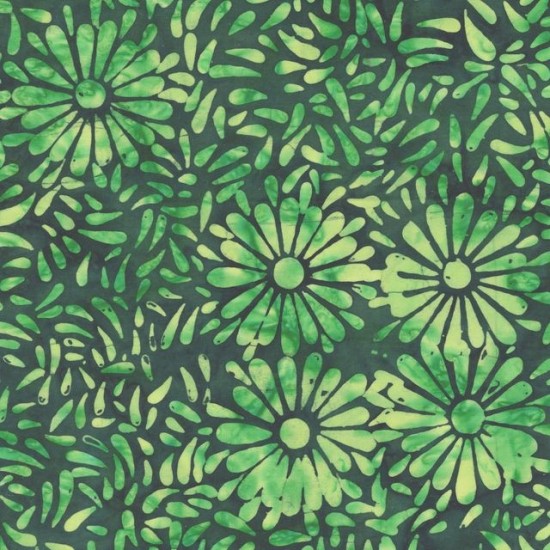 Daisy Petals by Jacqueline De Jonge