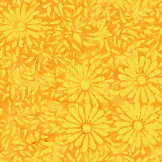 Daisy Petals by Jacqueline De Jonge