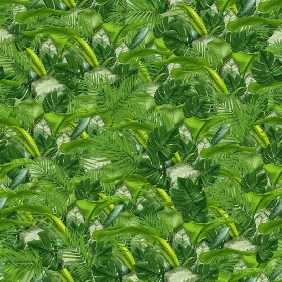 Realm Of The Dinosaurs