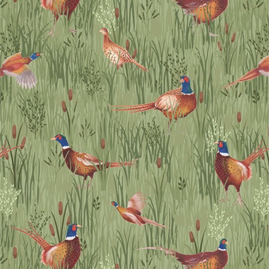 Country Pheasants