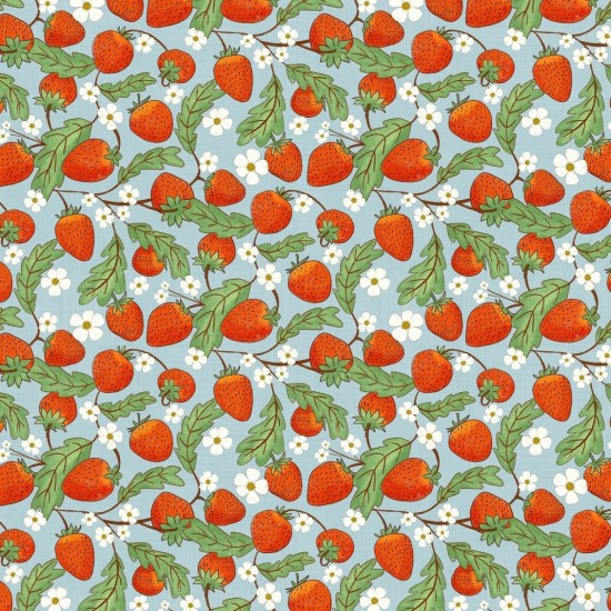 Whimsical Fields