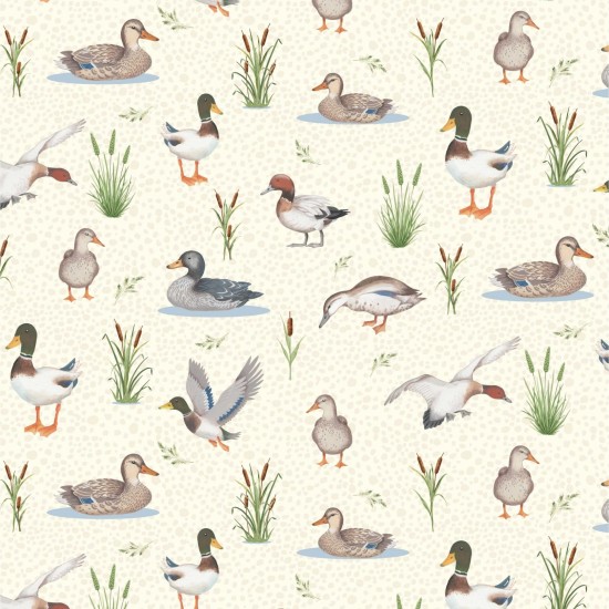Pond Life