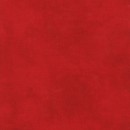 Quilt Backs Col 292