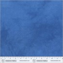 Quilt Backs Col 311