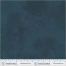 Quilt Backs Col 312