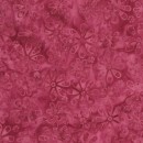 French Rose Col 104 Mar/Apr 26
