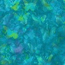 Mediterranean Sea Col 107 Mar/Apr 26