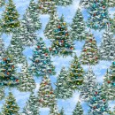 Winter Wonder Col.113 Jul/Aug 26