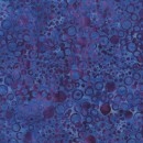 Blueberry By Jacqueline de Jonge Col 113 Nov/Dec 26