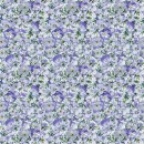 Violeta Col 116 Sept/Oct 26