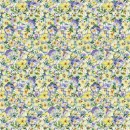 Violeta Col 118 Sept/Oct 26