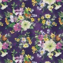 Violeta Col 103 Sept/Oct 26