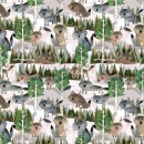 Animal Kingdom Col.109 Nov/Dec 26