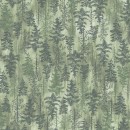 Wanderwoods Col.109 Nov/Dec 26