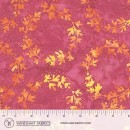 Tropical Sunset Col.111 Jan/Feb 27