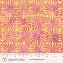 Tropical Sunset Col.104 Jan/Feb 27