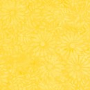 Daisy Petals Col.101 Jan/Feb 27