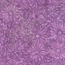 Daisy Petals Col.110 Jan/Feb 27