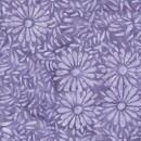 Daisy Petals Col.113 Jan/Feb 27