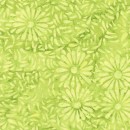 Daisy Petals Col.120 Jan/Feb 27