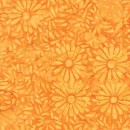 Daisy Petals Col.103 Jan/Feb 27