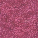 Daisy Petals Col.108 Jan/Feb 27