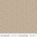 Little Meadow Col 117 Feb/Mar 27