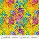 Canvas & CO Col 102 January 2027