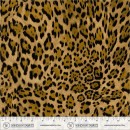 Canvas & CO Col 107 January 2027