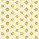 Celestial Skies By Sally Kelly Col 108 Jul/Aug 27
