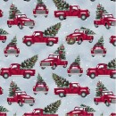 Christmas Magic Col.103 May/June 27