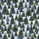 Christmas Magic Col.108 May/June 27