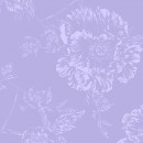 Quilt Backs Col 341