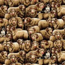 Merinos Col. 101 Natural