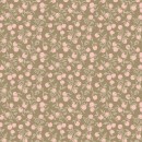 Primrose & Parsley Col 105 Oct/Nov 26