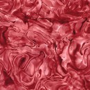 Convolution Backers Col 101 Mar/Apr 26