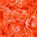 Convolution Backers Col 104 Mar/Apr 26