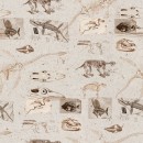 Realm Of The Dinosaurs Col 108 Apr/May 26