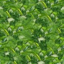 Realm Of The Dinosaurs Col 109 Apr/May 26